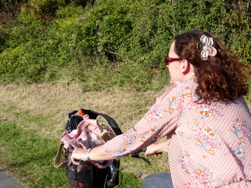 composer, teacher, dag, groover, passionate about social justice and our natural environment