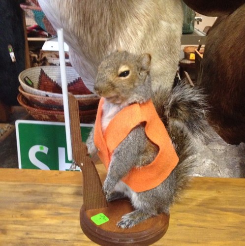 lisa_m_cox's profile picture. 