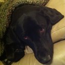 Jason Pendergrass - @George_Jason81 - Twitter