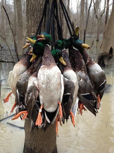 badjr05's profile picture. Christian, Husband, Father.