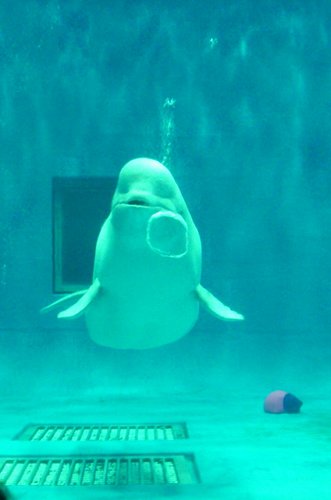 sarrry1123's profile picture. 