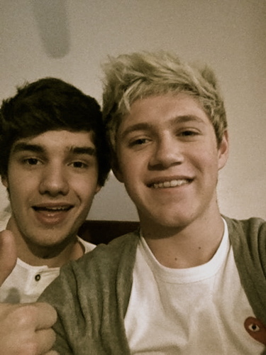 In love with One Direction