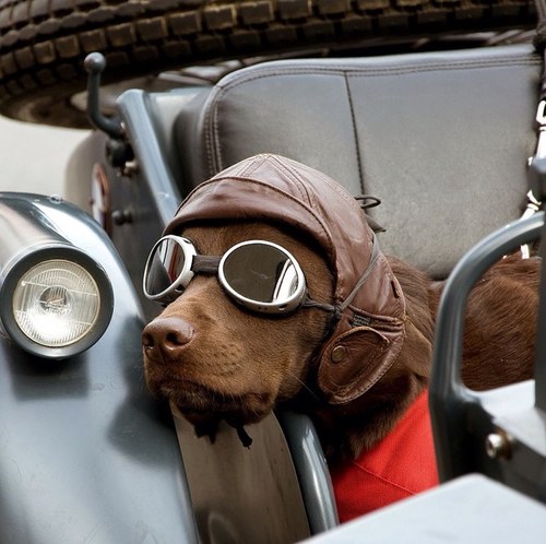 william1990514's profile picture. Just do what you really wanna do in your lives