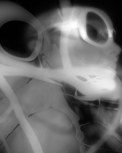 dulcefango's profile picture. Me gustan los hot cakes.