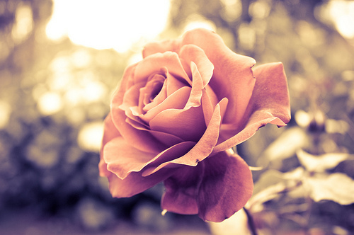 There's beauty in everything.