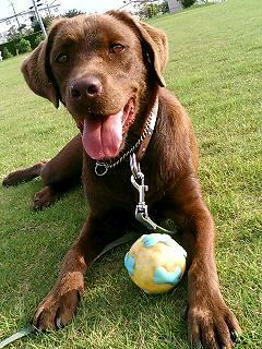 Prooftjbt's profile picture. トップウォーターフィッシング、ハーレー、アメ車、ART、ピンストライプ