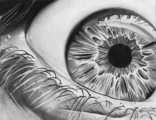 tanner87769985's profile picture. check out my links for some amazing products