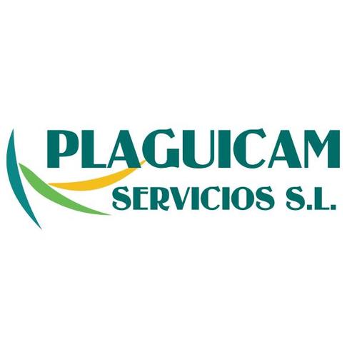 Control de Palomas. Sistemas Antipalomas: Pinchos y Redes. Control de Plagas. Desinsectación. Desratización. Desinfección Tel: 910668102 info@plaguicam.es