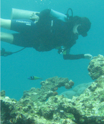 Escuela BUCEO PADI/ SSI con hospedaje,Ciénaga de Ocumare de la Costa,Venezuela. reservas on line, ESCRIBE https://t.co/UXw5lwvsXJ