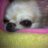 melon070427's profile image