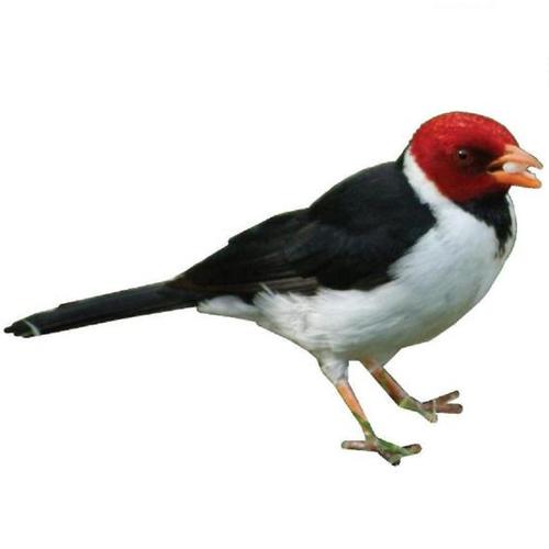 faabsales's profile picture. Business consultant, specialising in the fields of Sales, Operations and People Management.  Call 07910186058