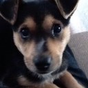 Glenn Perkins - @GeneralBerko - Twitter