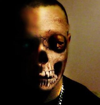 WilbaOfficial's profile picture. Professional cello player and Bhangra DJ