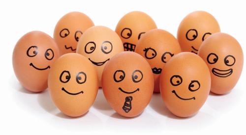 clarkseggs's profile picture. What makes our eggs taste so delicious? Well, happy chickens, living happy lives, lay better eggs. Cracking! Tel: 01388 718259 https://t.co/e2o2Rd7UNz