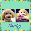 Lai Man Ling - @DaphneLai85 - Twitter