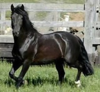 luiguii501's profile picture. admiro las bellesas de cuerpo femenino  y muy caliente the nice boddy of ladies  hot