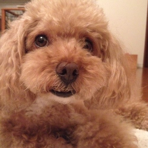 sun_from's profile picture. 一切は空/空気、水、土/地球を楽園に/世界は自由で広くて美しい/同じ人間の責任において刑務所併設の公立完全犬猫保護施設を全国にlove&green forever/ジュゴンのいた夏☀️