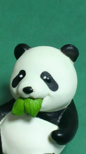 FACだった