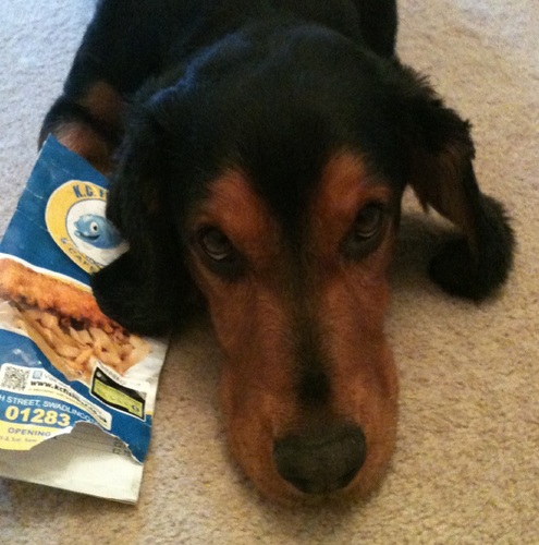 TheJimster77's profile picture. 