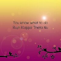 Kappa Theta Nu (@kappathetanu) 's Twitter Profile