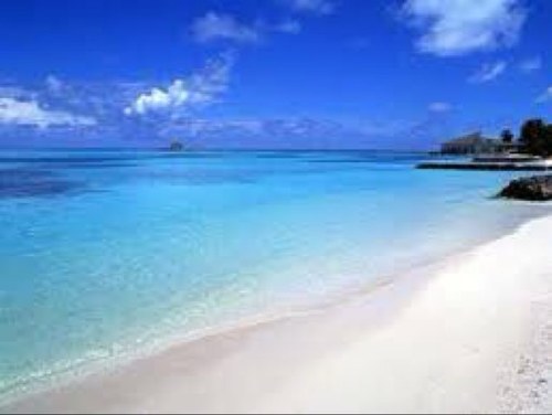 ycheung_cheungy's profile picture. 