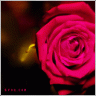 Satrawia6's profile picture. 