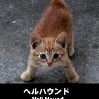 遙 (@hazel_air) 's Twitter Profile