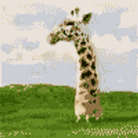 p0lar (@dpackham) 's Twitter Profile