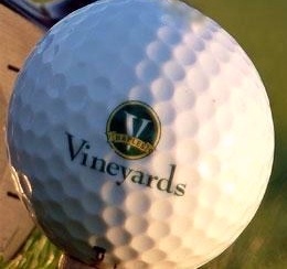Come to Vineyards and tour our world-class resort-style country club, world-renowned championship golf courses, and NEW model homes today!  http://t.co/pssJIgoc