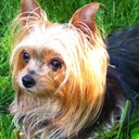 Suzanne Blais - @chaufferette - Twitter