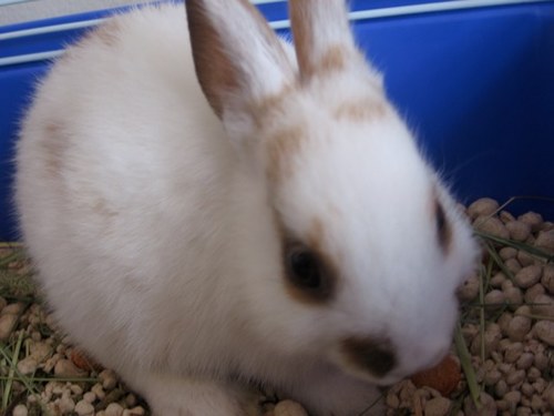 cmIsNotAnEmcee's profile picture. i think.  therefore i am . . . single