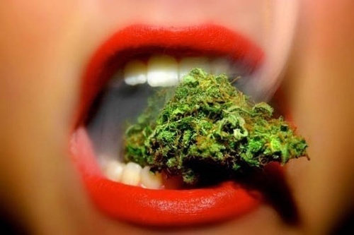 We are an online smoking heaven and will #follow if you like to smoke/drink/party! Send us a Sexy Pic of you on cloud 9 and we'll S/O - Post!!