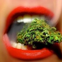 GrassGoodies.com (@grassgoodiescom) 's Twitter Profile