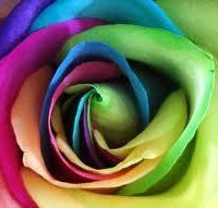 CheriAnnette1's profile picture. 