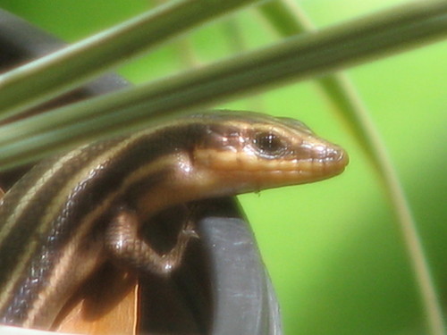 jamesdean240's profile picture. South AL Christian Conservative. UNemployed after 30+ yrs in the workforce.