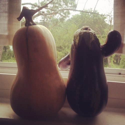 jessi_gatewood's profile picture. 