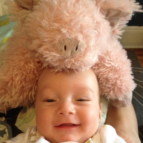 dandyroll's profile picture. Thoughts. Fatherhood. Books. Stuff.