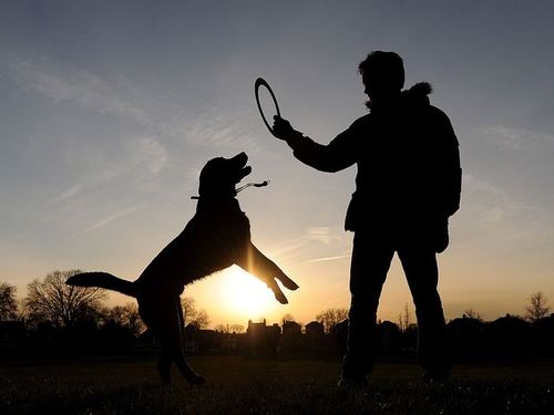 Os cães se vão e nunca mais sentiremos o roçar de seu pelo em nossa vida,mas sempre o sentiremos em nosso coração.Saudades eternas! ¨#DogHouseBrasil