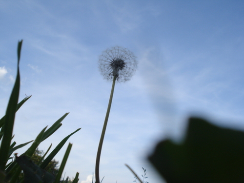 lovethat_life's profile picture. Keep calm and eat chocolate ♥