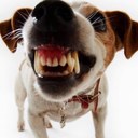 Gary Cordingley - @GaryGcor - Twitter