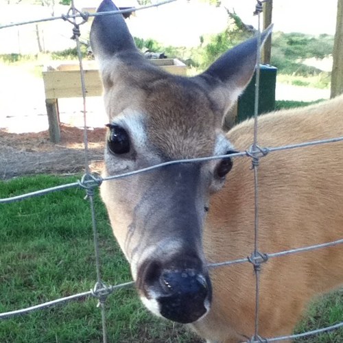 brandono452's profile picture. 