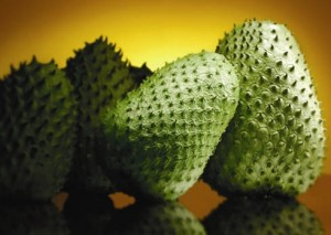 guanabana6's profile picture. 