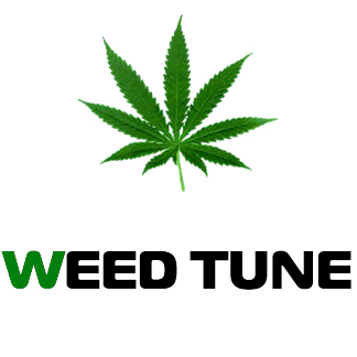 #TeamWeed #StonersNation #GoodLife
