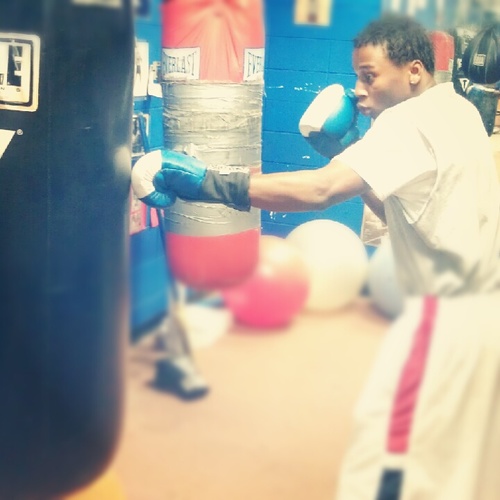 boxer at riverside