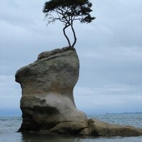 Allison Kaptur (@akaptur) 's Twitter Profile