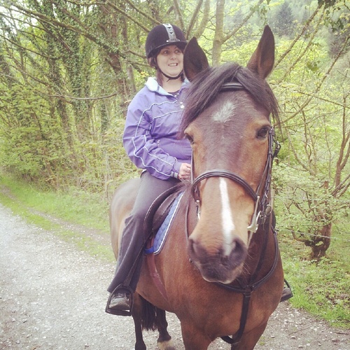 welsh lovely