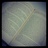 _nEuS_'s profile image