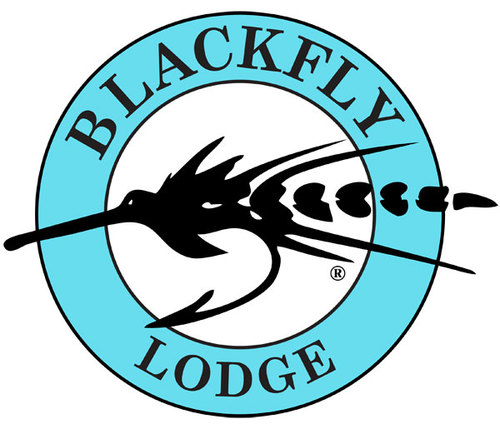 Incredible bonefishing & single room accommadations at Blackfly Lodge in the Bahamas in the town of Schooner Bay in Abaco