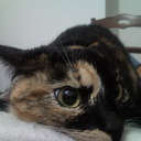 Ginger Casper - @GingerCasper - Twitter