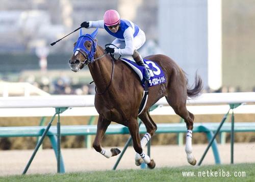 毎回南関競馬・JRA様に貯金をしております（笑）
競馬　お酒　野球　ボクシングなど気軽につぶやいていきます＾＾　当たらない予想もつぶやきますが参考にしないでくださいね（笑）